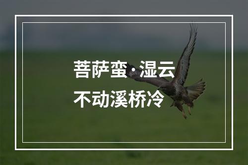 菩萨蛮·湿云不动溪桥冷