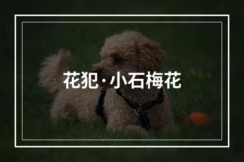 花犯·小石梅花