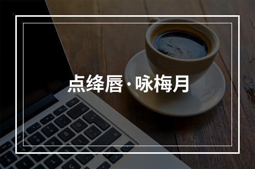 点绛唇·咏梅月