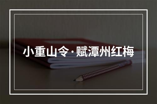 小重山令·赋潭州红梅