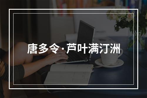 唐多令·芦叶满汀洲