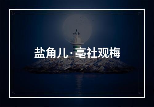 盐角儿·亳社观梅