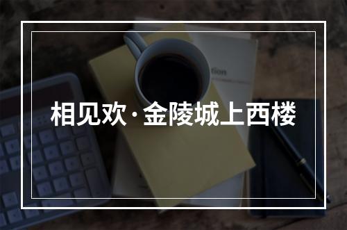 相见欢·金陵城上西楼
