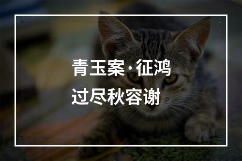 青玉案·征鸿过尽秋容谢