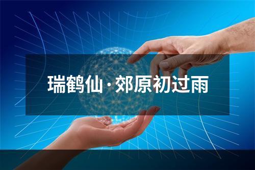 瑞鹤仙·郊原初过雨