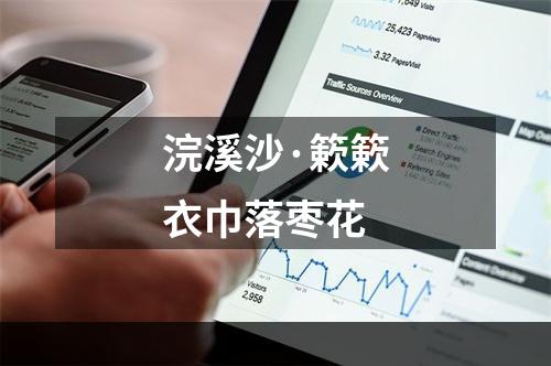 浣溪沙·簌簌衣巾落枣花