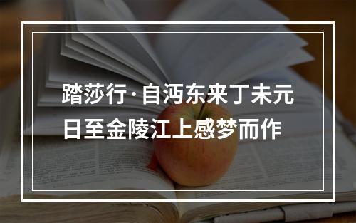 踏莎行·自沔东来丁未元日至金陵江上感梦而作