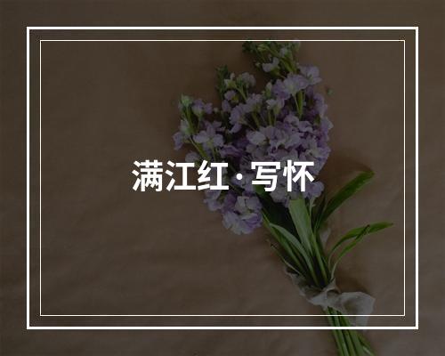 满江红·写怀