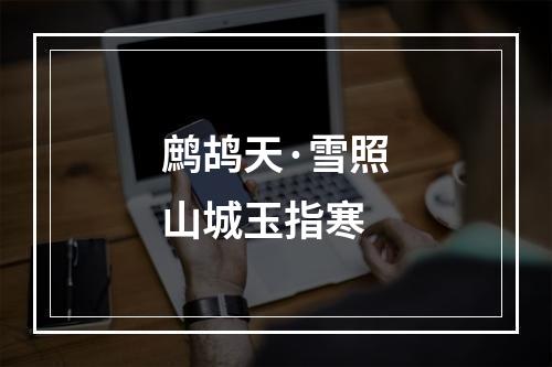 鹧鸪天·雪照山城玉指寒