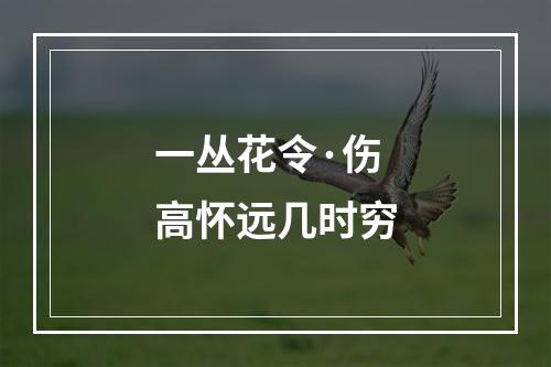 一丛花令·伤高怀远几时穷