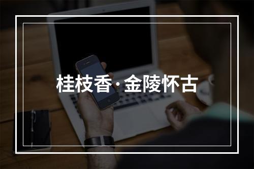 桂枝香·金陵怀古