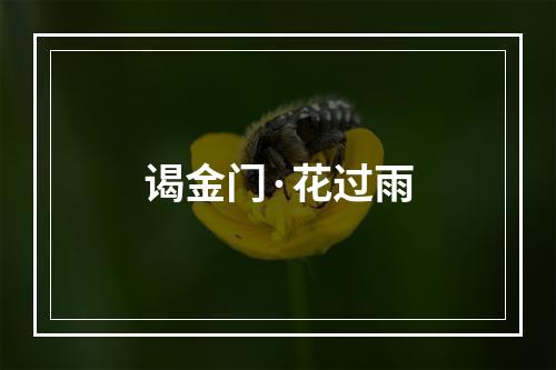 谒金门·花过雨