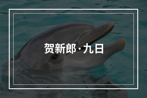 贺新郎·九日