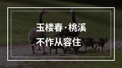 玉楼春·桃溪不作从容住