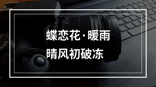 蝶恋花·暖雨晴风初破冻