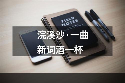 浣溪沙·一曲新词酒一杯