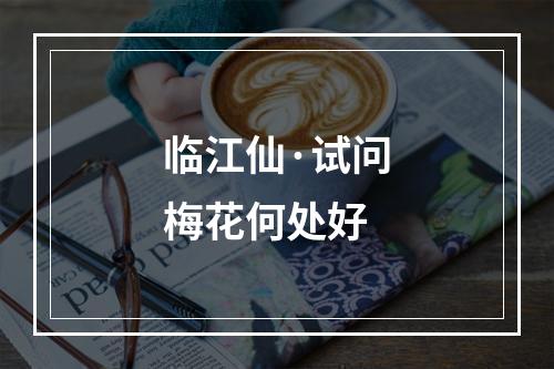 临江仙·试问梅花何处好