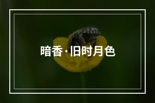 暗香·旧时月色