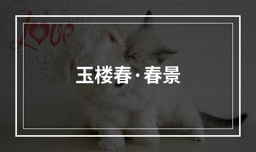 玉楼春·春景