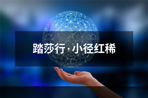 踏莎行·小径红稀