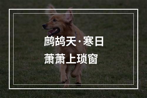 鹧鸪天·寒日萧萧上琐窗