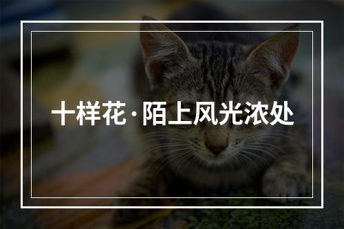 十样花·陌上风光浓处