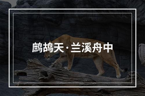 鹧鸪天·兰溪舟中