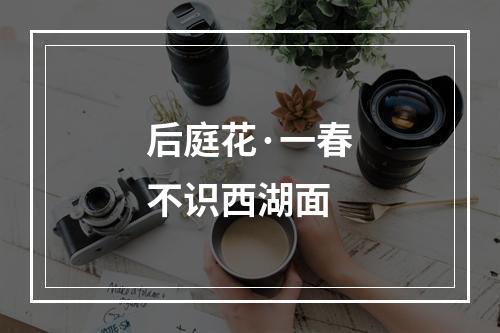 后庭花·一春不识西湖面