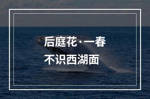 后庭花·一春不识西湖面