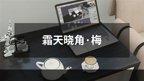 霜天晓角·梅