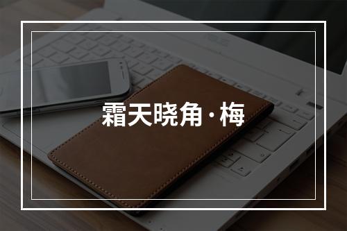 霜天晓角·梅