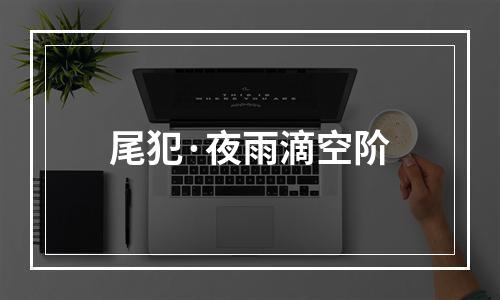 尾犯·夜雨滴空阶