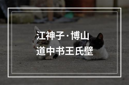 江神子·博山道中书王氏壁