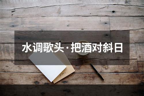 水调歌头·把酒对斜日