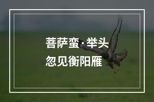 菩萨蛮·举头忽见衡阳雁