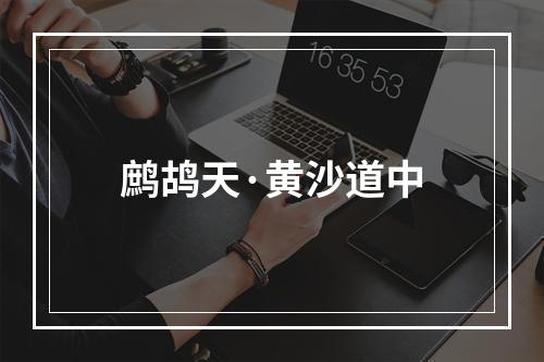 鹧鸪天·黄沙道中