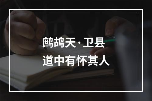 鹧鸪天·卫县道中有怀其人