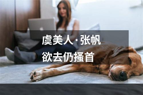 虞美人·张帆欲去仍搔首