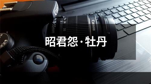 昭君怨·牡丹