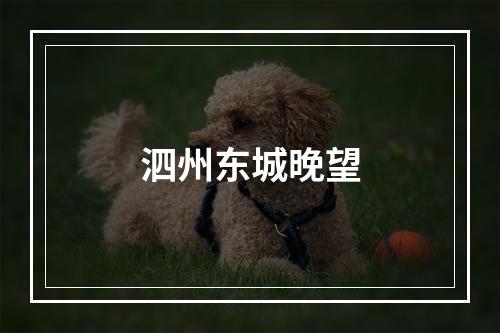 泗州东城晚望