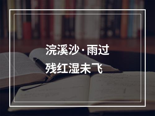 浣溪沙·雨过残红湿未飞