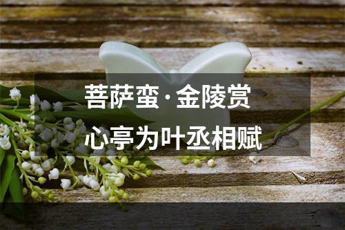 菩萨蛮·金陵赏心亭为叶丞相赋