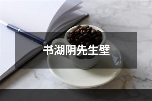 书湖阴先生壁