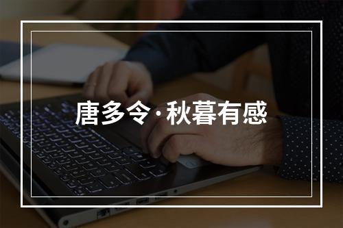 唐多令·秋暮有感