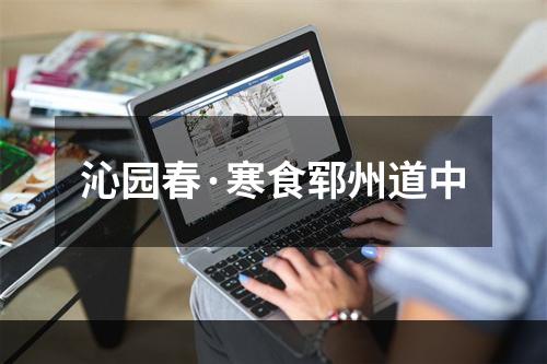 沁园春·寒食郓州道中