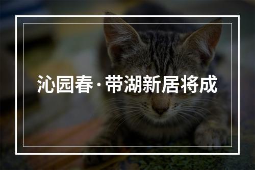 沁园春·带湖新居将成