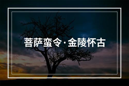 菩萨蛮令·金陵怀古