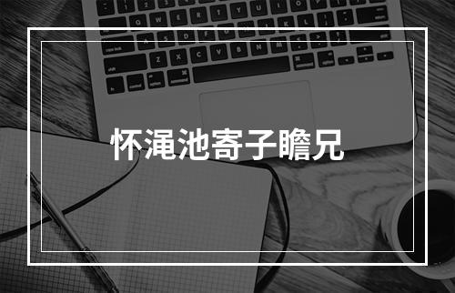 怀渑池寄子瞻兄