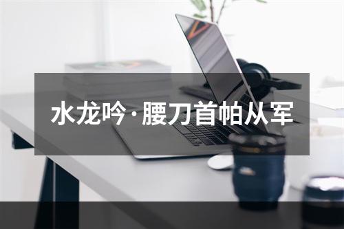 水龙吟·腰刀首帕从军