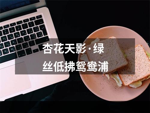 杏花天影·绿丝低拂鸳鸯浦